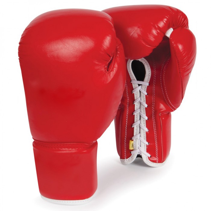 Boxing Gloves 219