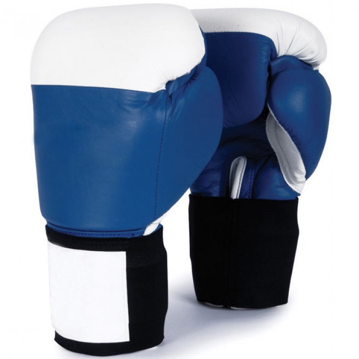 Boxing Gloves 220