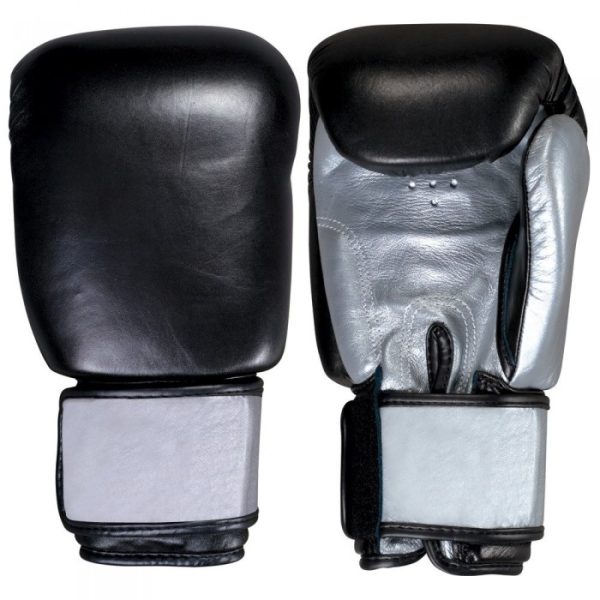 Boxing Gloves 221