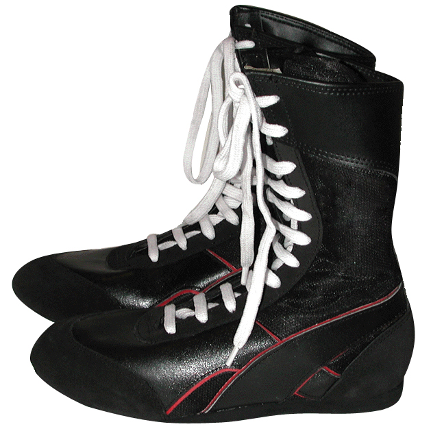 Boxing Shoes 260