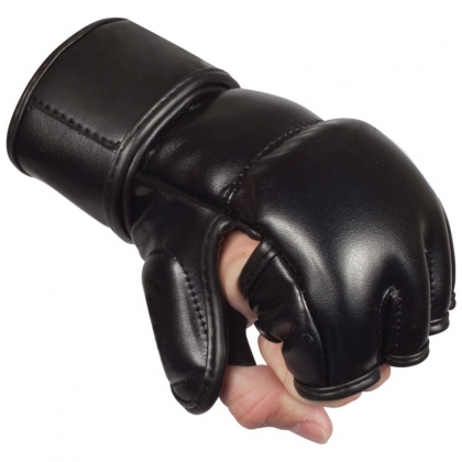 MMA Gloves 168