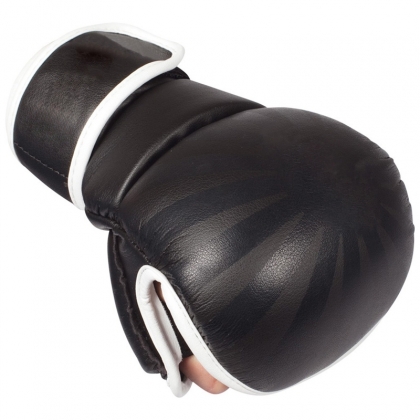 MMA Gloves 169