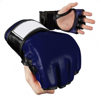 MMA Gloves 171