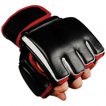 MMA Gloves 172