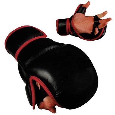 MMA Gloves 173