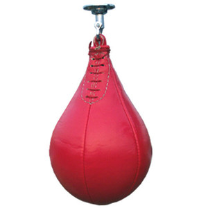 Speed Ball 254
