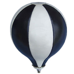 Speed Ball 256
